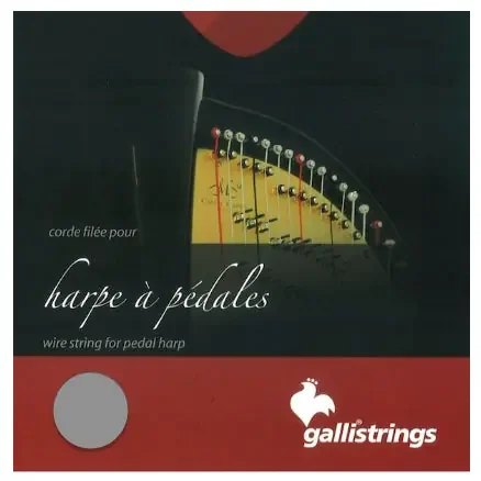 6th Octave D – Bass Wire Pedal Harp String by Galli Strings – CAM6FGA37