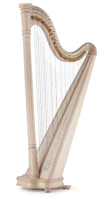 Ana 40 string harp (Gut strings) in black finish by Salvi