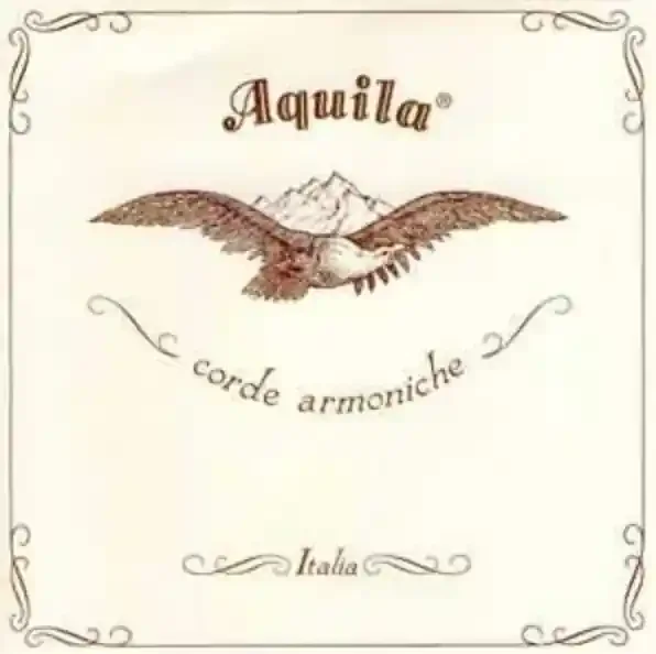 Aquila Theorbo 108NGE Nylgut Elastic Lute String x 180cm long