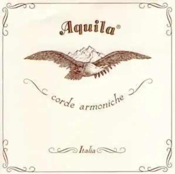 Aquila Theorbo 66NGE Nylgut Elastic Lute String x 195cm long