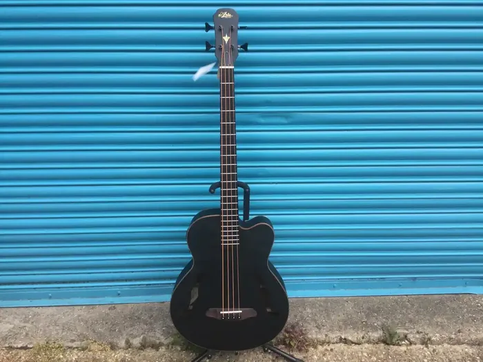 Aria – FEB F2M – Electro Acoustic Bass Guitar