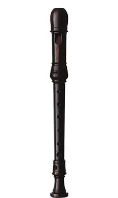 Aura Conservatorium Soprano Recorder in Palisander