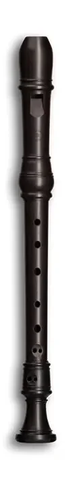 Bressan by Blezinger Soprano Recorder in Grenadilla