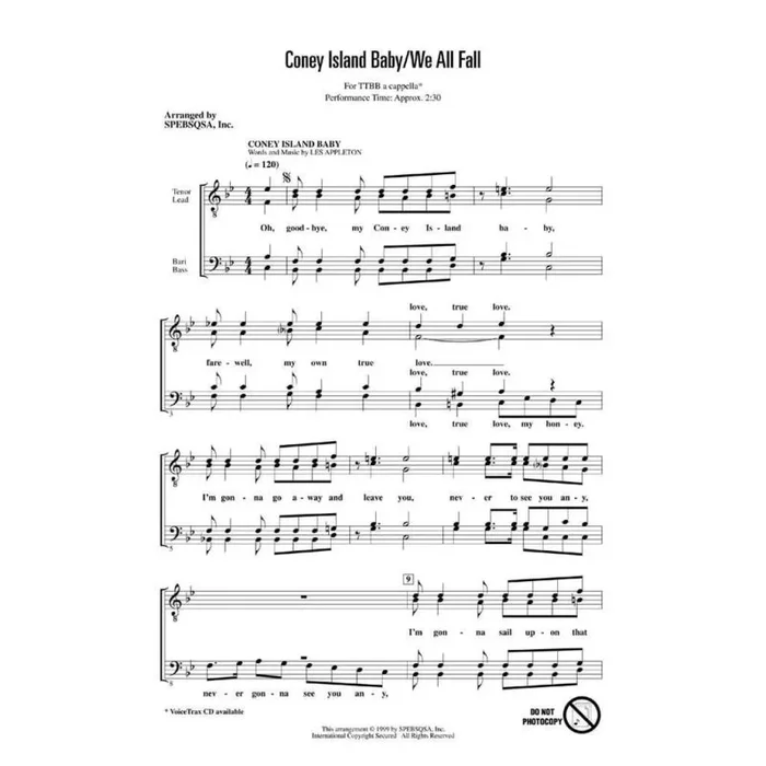 Coney Island Baby/We All Fall