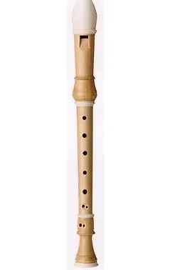 Coolsma Soprano (Descant) Recorder in European Boxwood with Decoration