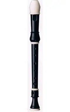 Coolsma Soprano (Descant) Recorder in Grenadilla with Decoration