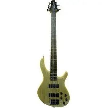 Cort ACTDLXVASOPN 5 String Bass