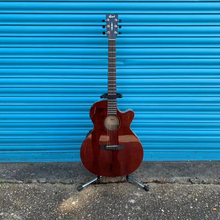 Cort SFX Myrtlewood Electro Acoustic Guitar