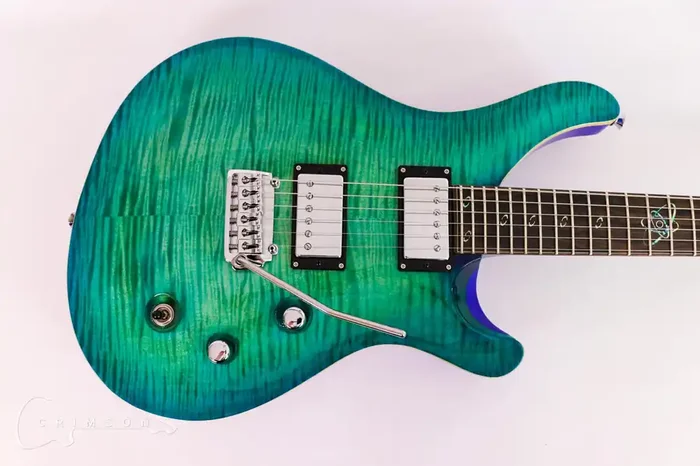 Custom Order YOUR version of The Scion Guitar