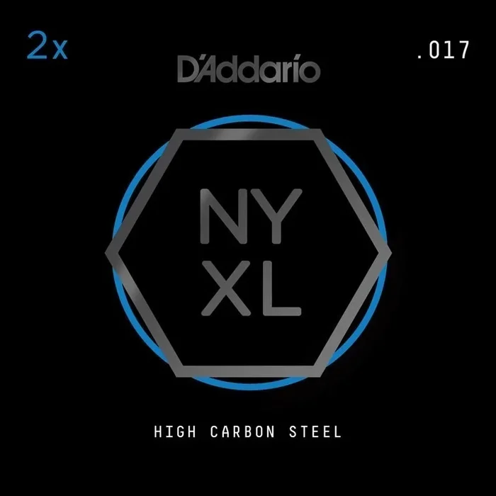 D’Addario NYXL 2-Pack Plain Steel Guitar Strings, .017