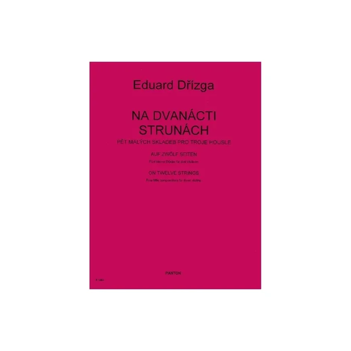Drízga, Eduard – On 12 Strings