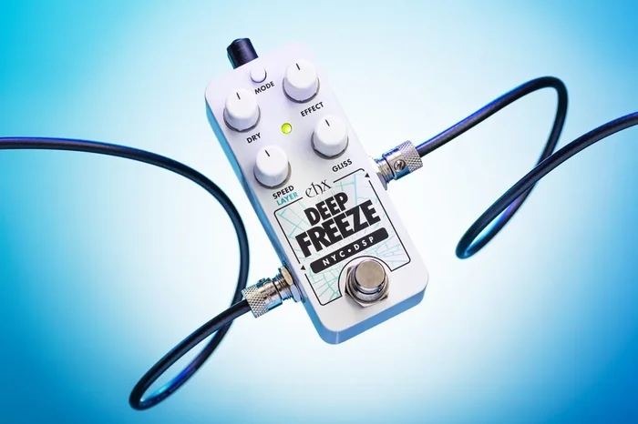 EHX Pico Deep Freeze
