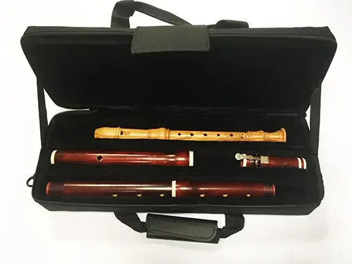 EMS HD3RX Multi 3 Slot Case (Long) for Recorder/Brq Flute
