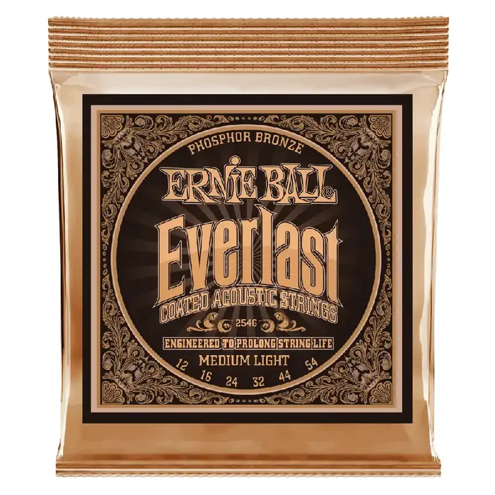 Ernie Ball Everlast Phosphor Bronze 12-54 Acoustic Guitar Strings, Light