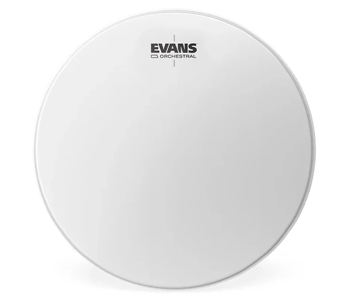 Evans 31.5 ” Orchestral Timpani Head