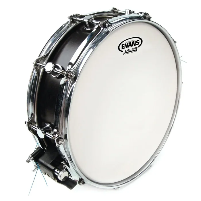 Evans Power Center Reverse Dot Drum Head, 10 Inch *SKIN ONLY*