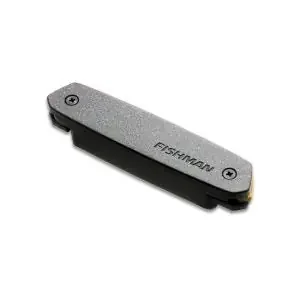 Fishman Neo-D Humbucking Pickup