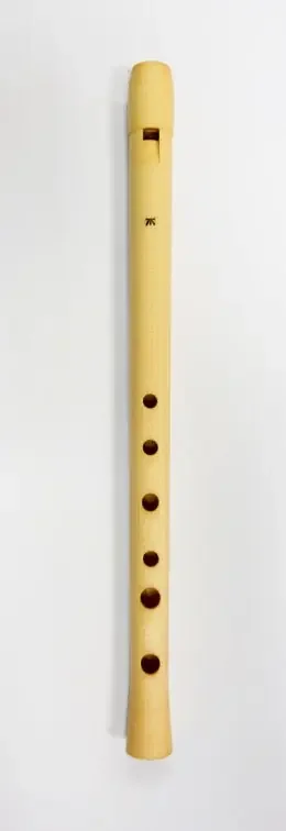 Folk Whistle in D by Terry Mann