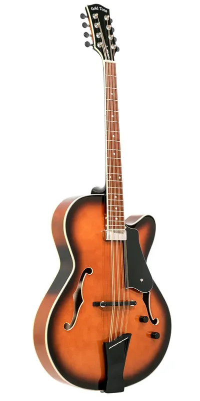 Gold Tone Mandocello Mandocello with Pickup and Case