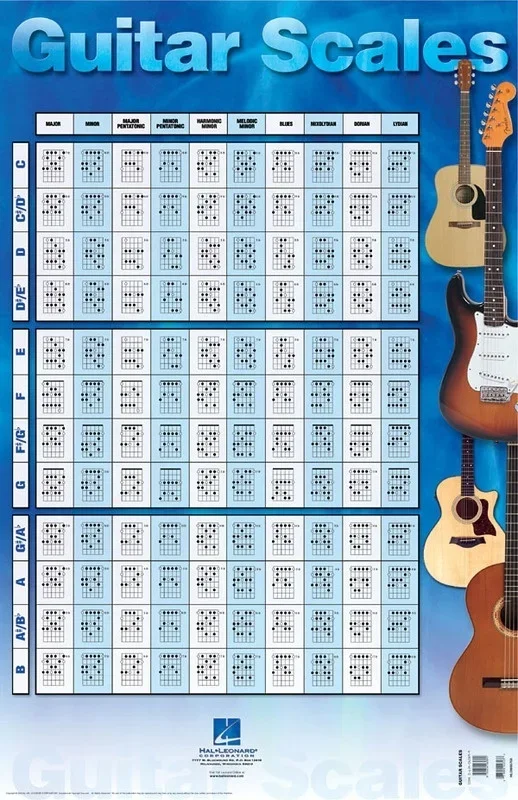 Guitar Scales Poster 22 x 34 Inch (Poster)