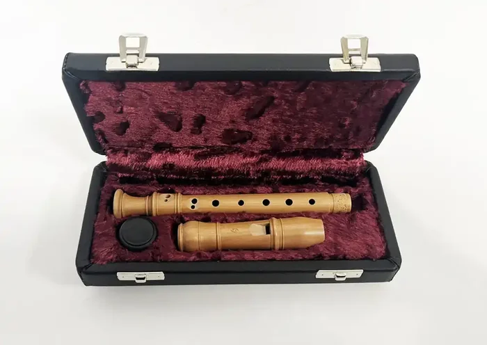 Hard Case for Sopranino Recorder by Early Music Shop