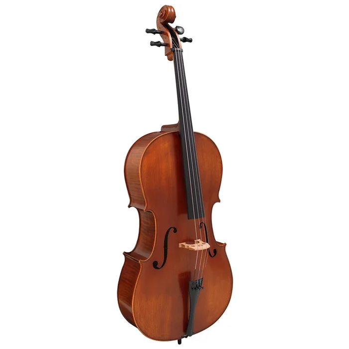 Hidersine Vivente Cello 1/2 Student Outfit – Setup