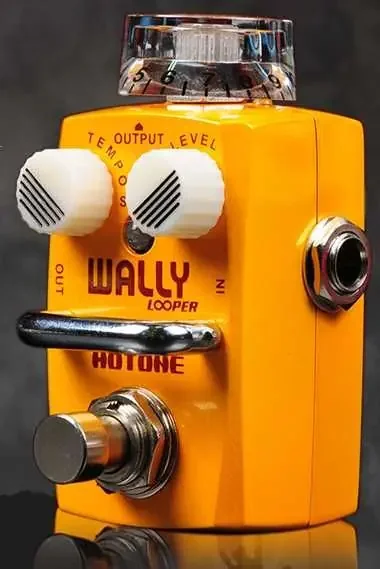 Hotone Wally Looper Pedal