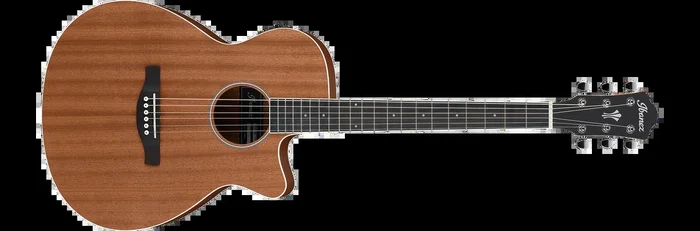 Ibanez AEG7MH Acoustic Guitar Natural