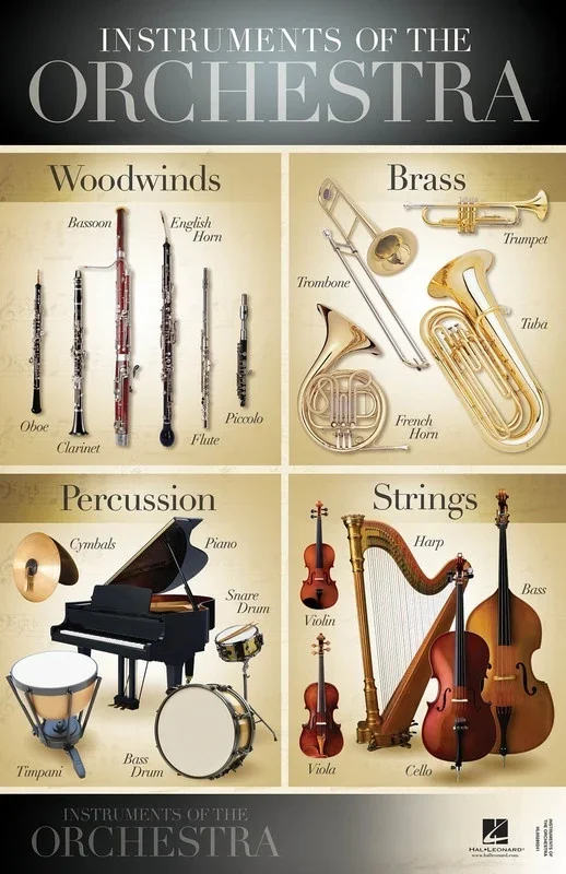 Instruments Of The Orchestra Poster 22 x 34 Inch Inch