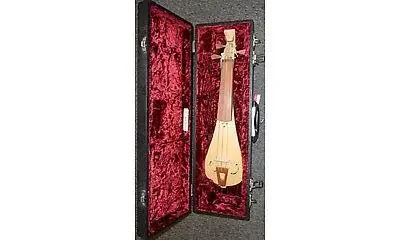 Kingham Symphony Hard Case – suitable for other instruments