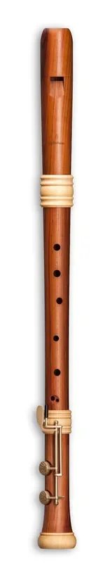 Mollenhauer Dream Edition Tenor Recorder in Plumwood