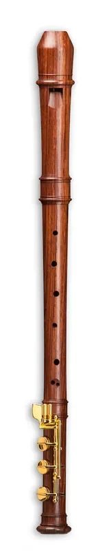 Mollenhauer Modern Alto Recorder with E-foot in Palisander