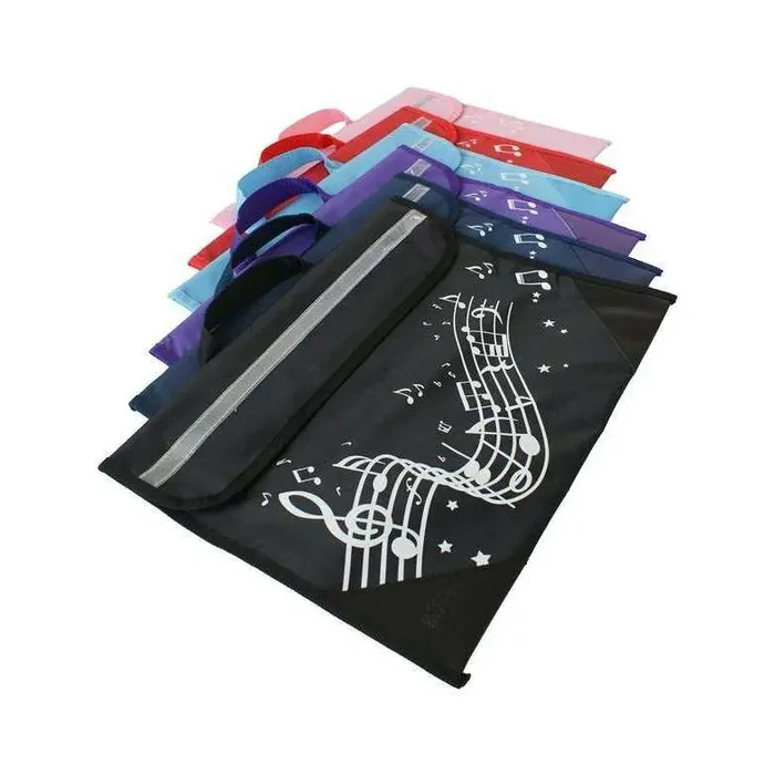 Music Carrier with Musical note design