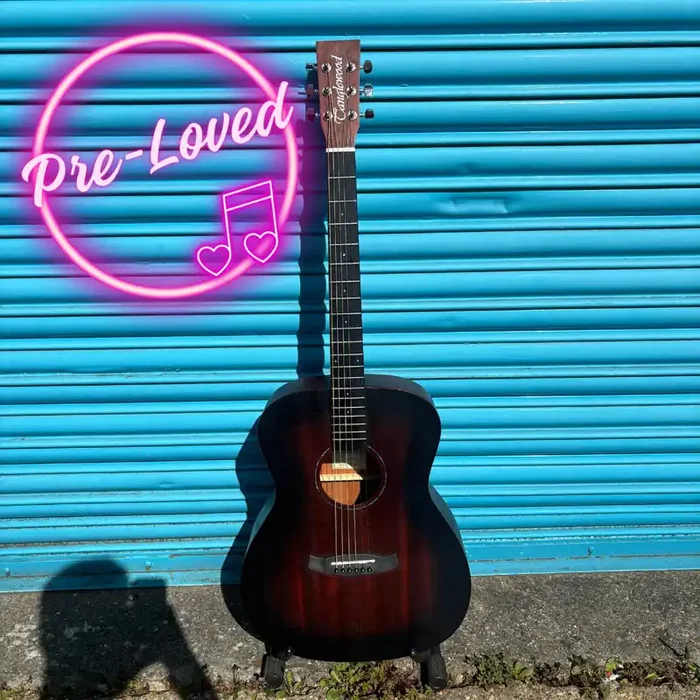 Pre-Loved Tanglewood Crossroads Acoustic Guitar Inc. Padded Stagg Gig Bag