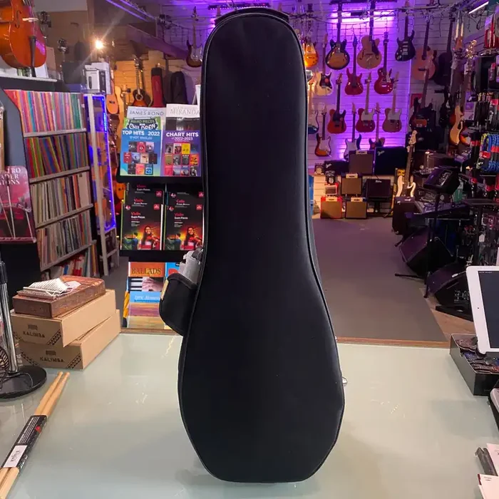 Round Back Mandolin Case