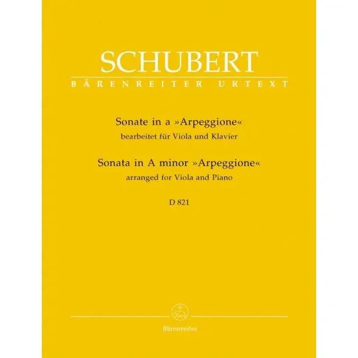 Schubert Sonata In A Minor (Flute and Piano)
