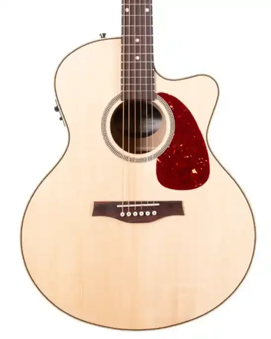 Seagull Performer C/A Mini Jumbo Electro-Acoustic Guitar ~ HG ~ PreSys II with Bag