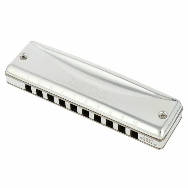 Suzuki F-20J Fabulous Diatonic D