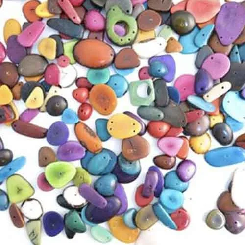 Tagua Nut Seeds – 2kg