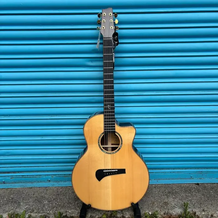 Tanglewood TSR2C Master Design Electro Acoustic Guitar inc. Hard Case