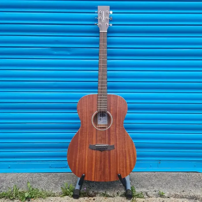 Tanglewood TW2 Winterleaf Acoustic Guitar