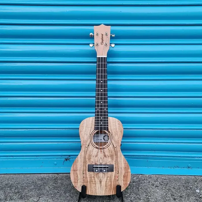 Tanglewood TWT 10 Tiare Concert Ukulele