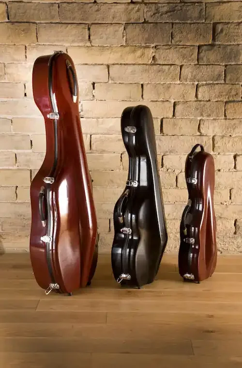 Treble Viol Case by Lu Mi