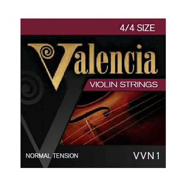 Valencia VVN1 4/4 Set Violin Strings – Steel Ball End