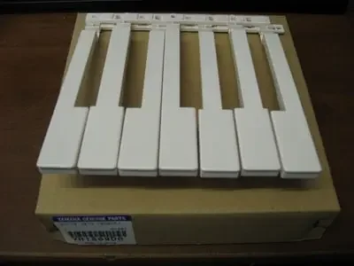 VH180900 / VH181000 Yamaha PSR key set OLD STYLE