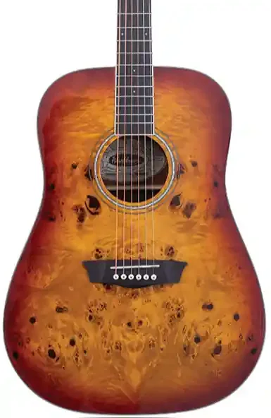 Washburn BURL D Deep Forest Dreadnought – Amber Fade