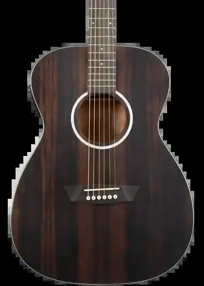 Washburn EBONY FE Deep Forest Folk – Natural Matte