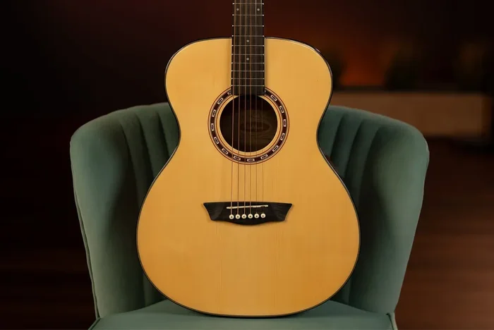 Washburn F5 Folk – Natural