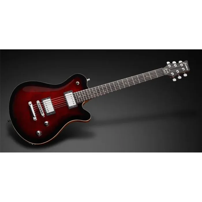 ZGPS175651PPMAHCR Panthera Pro. Mahogany Body Burgundy Blackburst Trans.